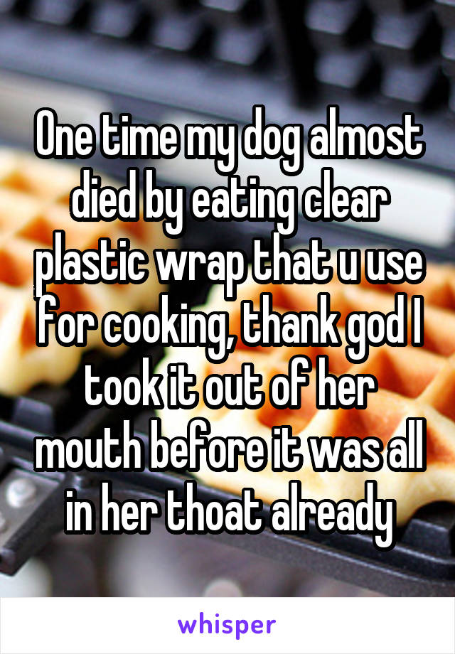 One time my dog almost died by eating clear plastic wrap that u use for cooking, thank god I took it out of her mouth before it was all in her thoat already