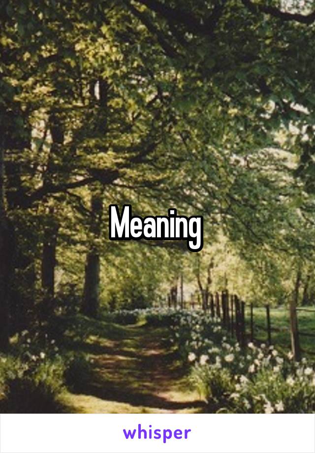 Meaning 