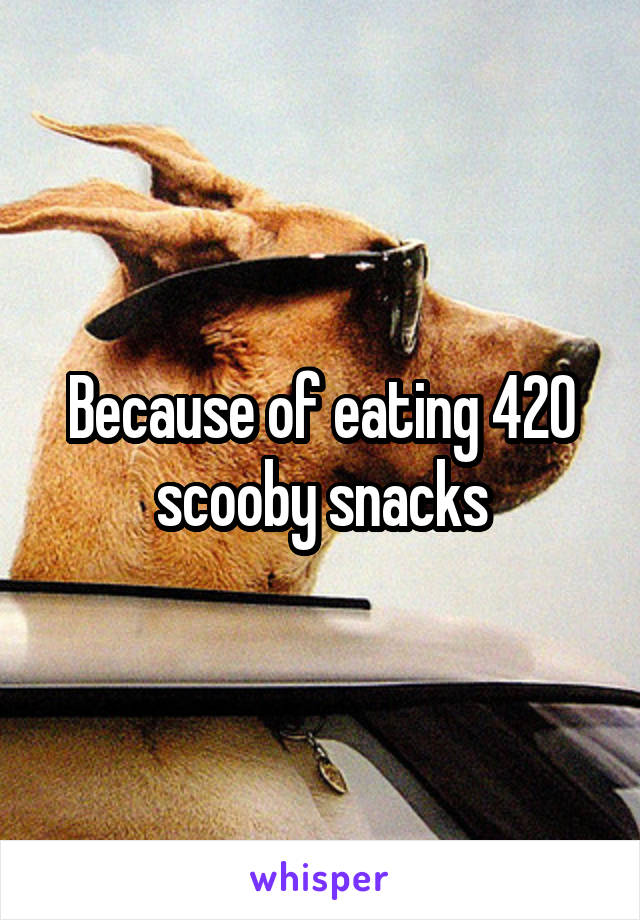 Because of eating 420 scooby snacks