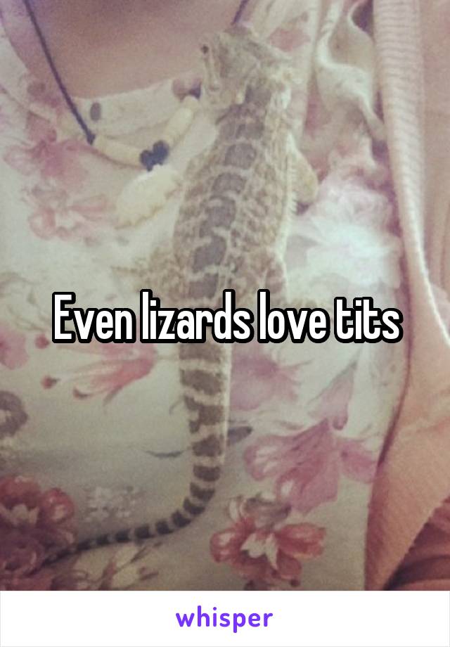 Even lizards love tits
