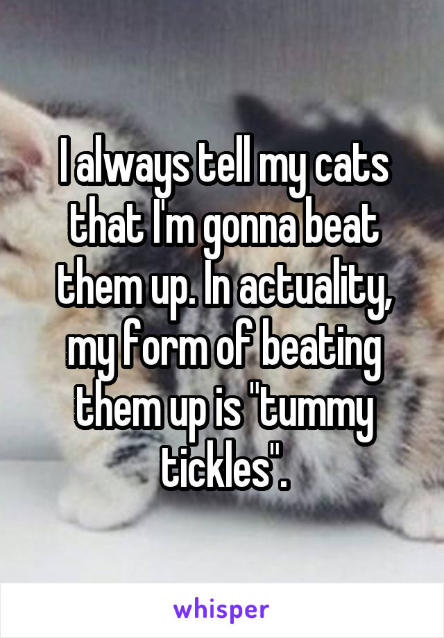 I always tell my cats that I'm gonna beat them up. In actuality, my form of beating them up is "tummy tickles".