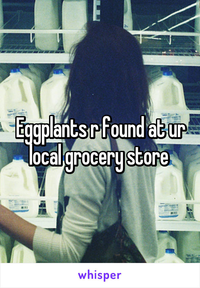 Eggplants r found at ur local grocery store 