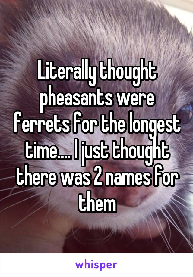 Literally thought pheasants were ferrets for the longest time.... I just thought there was 2 names for them