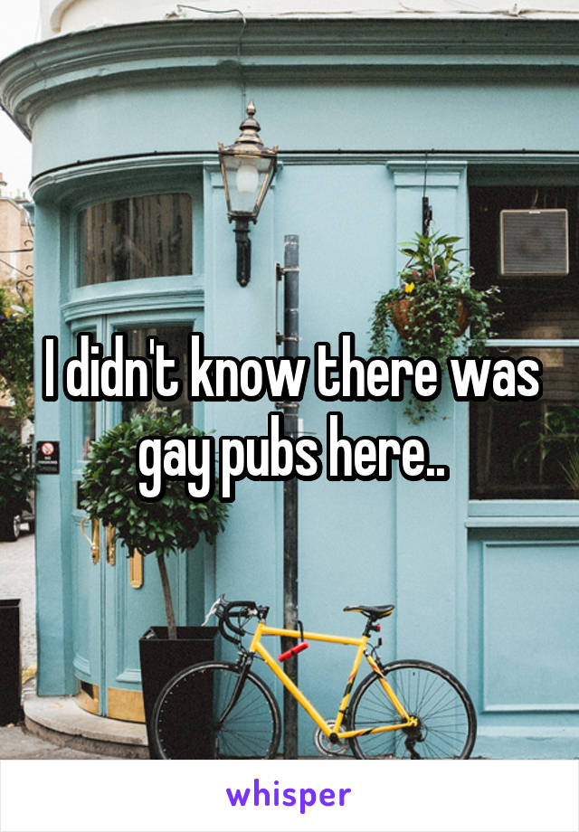 I didn't know there was gay pubs here..