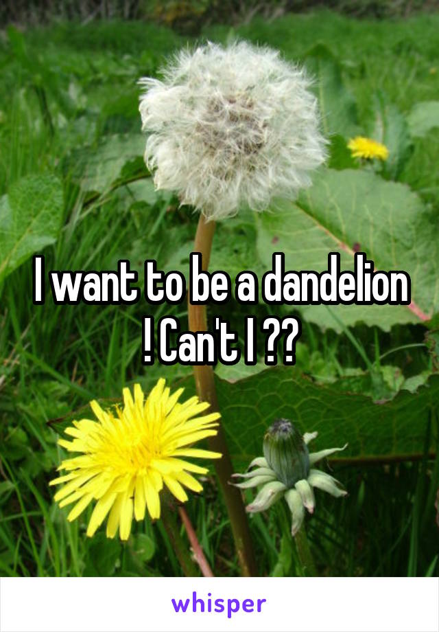I want to be a dandelion ! Can't I ??