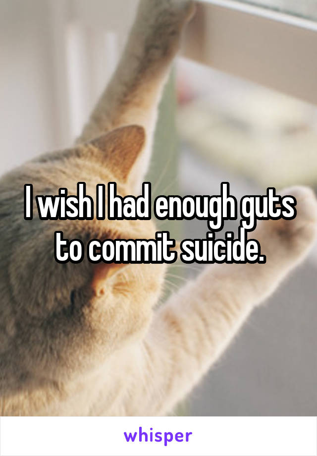 I wish I had enough guts to commit suicide.