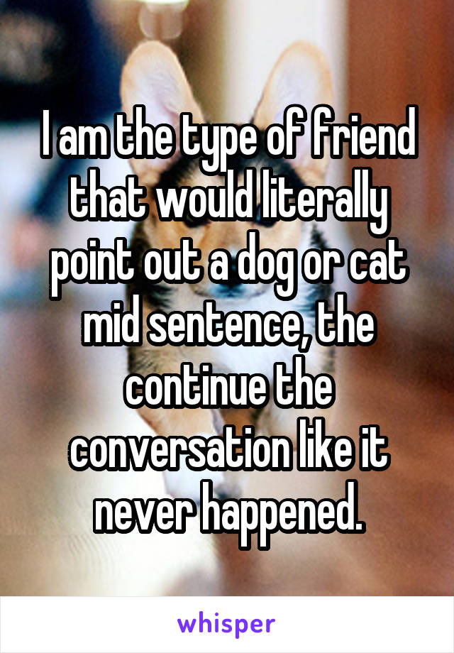 I am the type of friend that would literally point out a dog or cat mid sentence, the continue the conversation like it never happened.