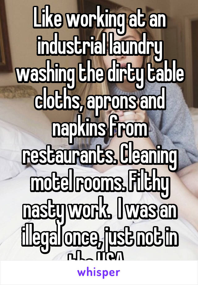 Like working at an industrial laundry washing the dirty table cloths, aprons and napkins from restaurants. Cleaning motel rooms. Filthy nasty work.  I was an illegal once, just not in the USA. 