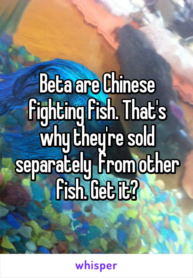 Beta are Chinese fighting fish. That's why they're sold separately  from other fish. Get it?