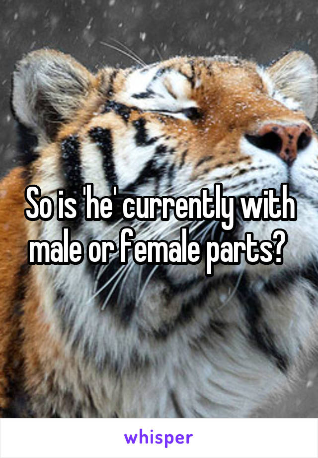 So is 'he' currently with male or female parts? 