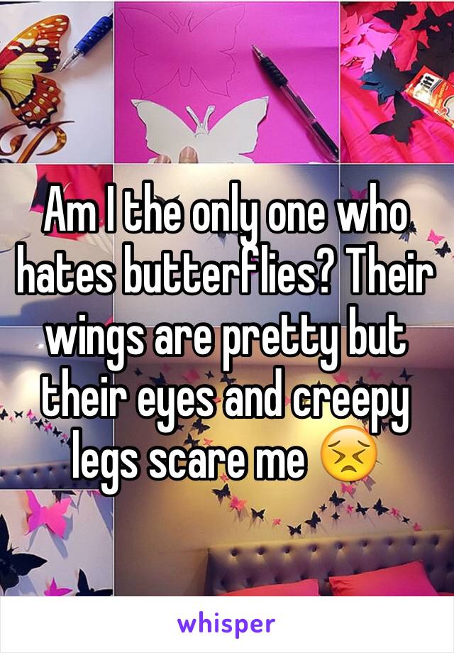 Am I the only one who hates butterflies? Their wings are pretty but their eyes and creepy legs scare me 😣