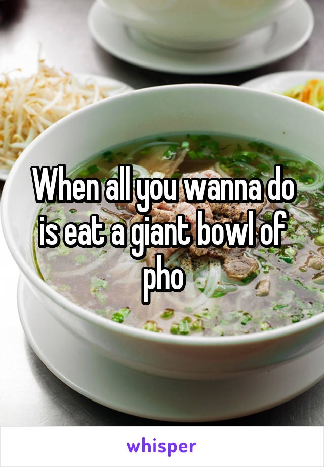 When all you wanna do is eat a giant bowl of pho