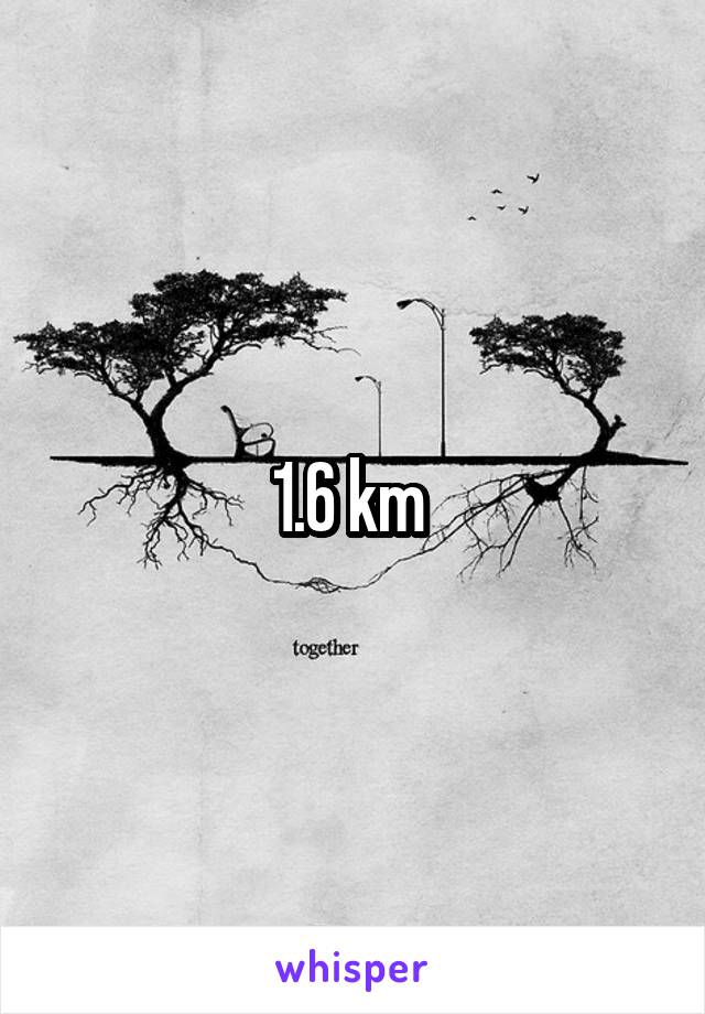1.6 km 