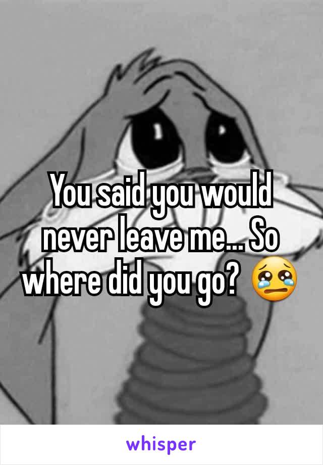 You said you would never leave me... So where did you go? 😢