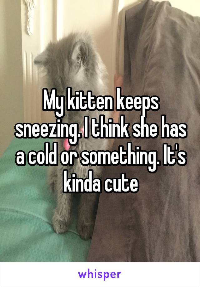 My kitten keeps sneezing. I think she has a cold or something. It's kinda cute