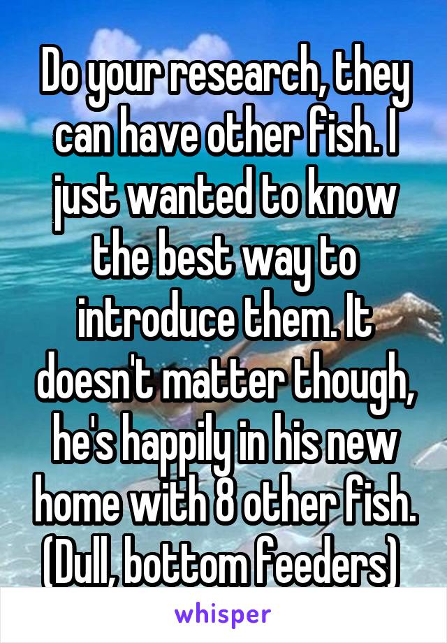 Do your research, they can have other fish. I just wanted to know the best way to introduce them. It doesn't matter though, he's happily in his new home with 8 other fish. (Dull, bottom feeders) 