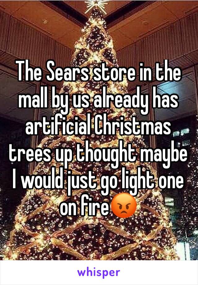 The Sears store in the mall by us already has artificial Christmas trees up thought maybe I would just go light one on fire😡