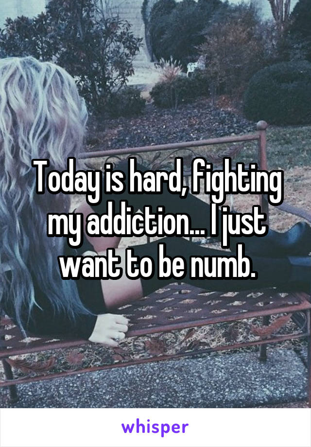 Today is hard, fighting my addiction... I just want to be numb.