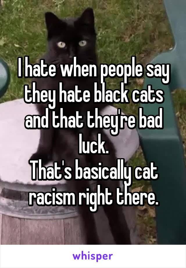 I hate when people say they hate black cats and that they're bad luck.
That's basically cat racism right there.