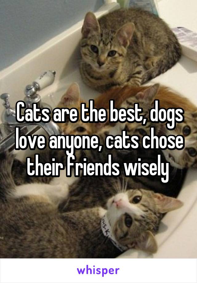Cats are the best, dogs love anyone, cats chose their friends wisely 