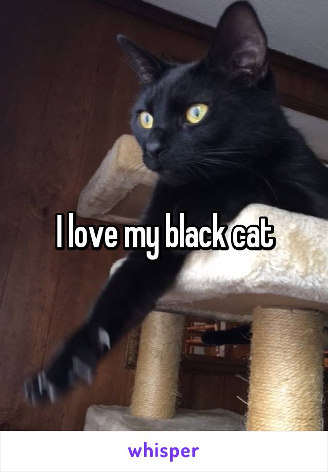 I love my black cat