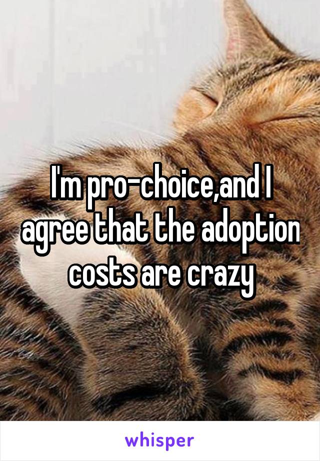 I'm pro-choice,and I agree that the adoption costs are crazy