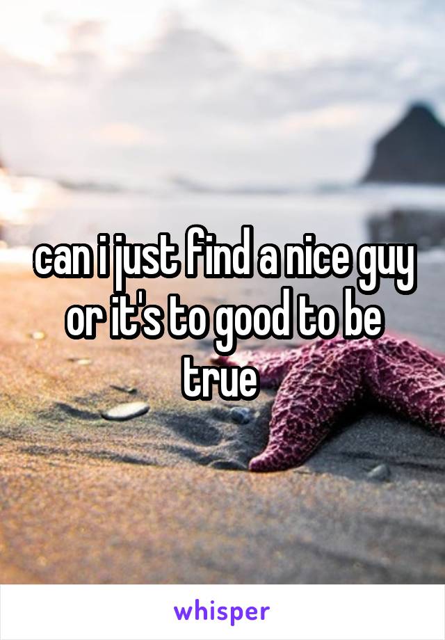 can i just find a nice guy or it's to good to be true 