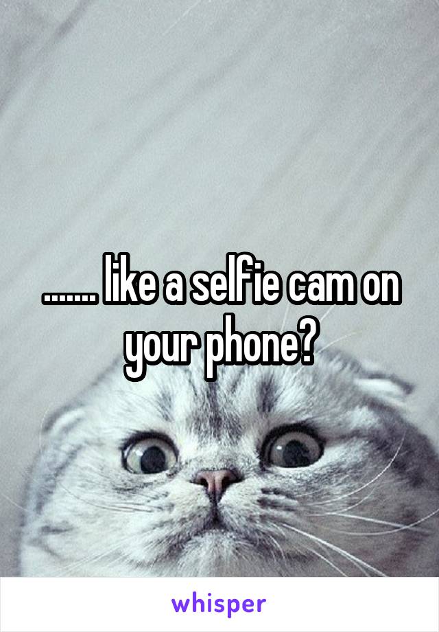 ....... like a selfie cam on your phone?