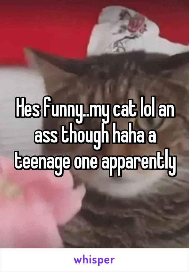 Hes funny..my cat lol an ass though haha a teenage one apparently