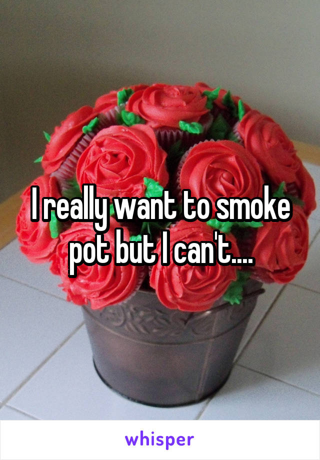 I really want to smoke pot but I can't....