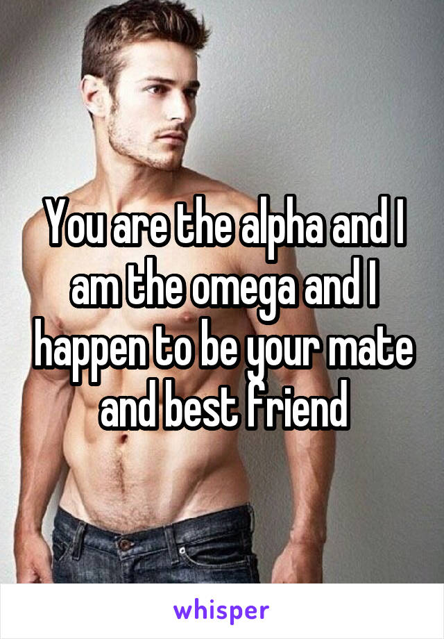 You are the alpha and I am the omega and I happen to be your mate and best friend