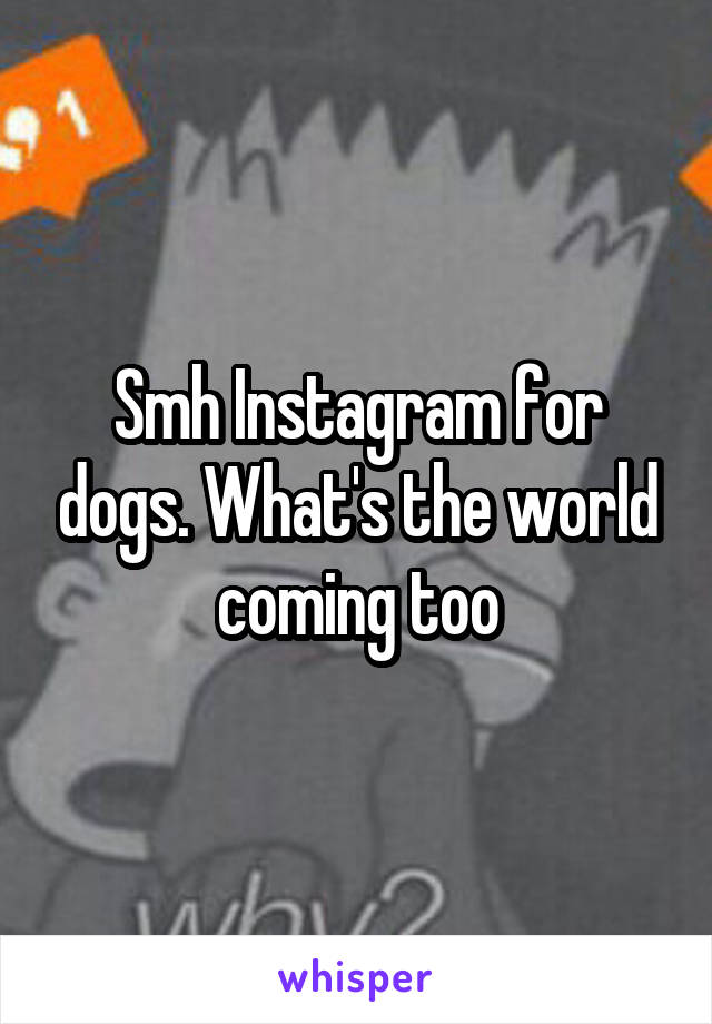 Smh Instagram for dogs. What's the world coming too