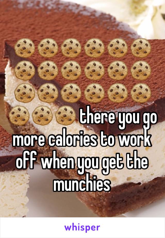 🍪🍪🍪🍪🍪🍪🍪🍪🍪🍪🍪🍪🍪🍪🍪🍪🍪🍪🍪🍪🍪 there you go more calories to work off when you get the munchies 