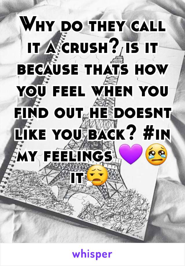 Why do they call it a crush? is it because thats how you feel when you find out he doesnt like you back? #in my feelings 💜😢it😧 
