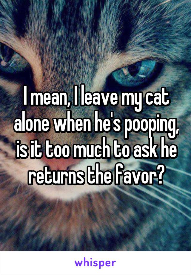 I mean, I leave my cat alone when he's pooping, is it too much to ask he returns the favor?