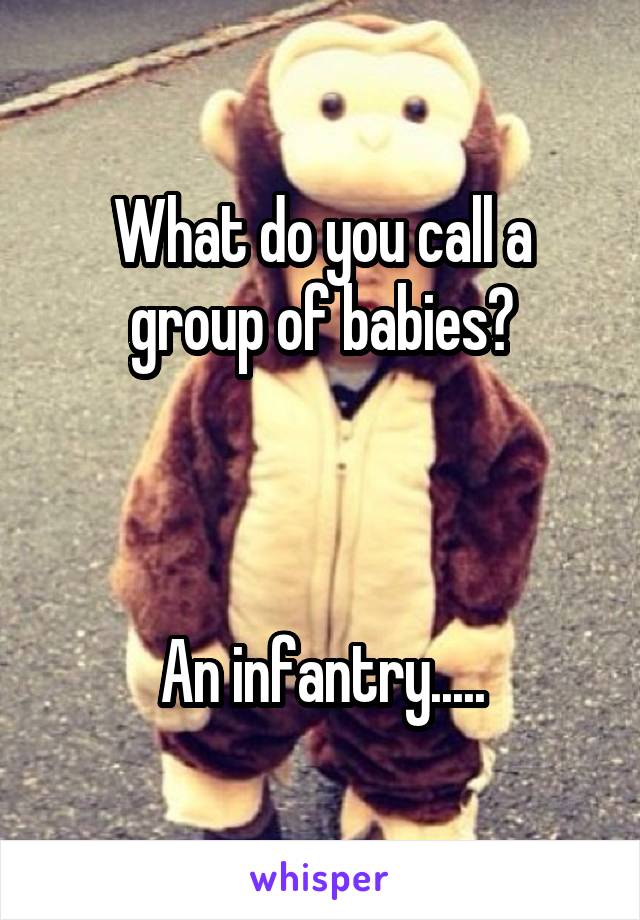 What do you call a group of babies?



An infantry.....