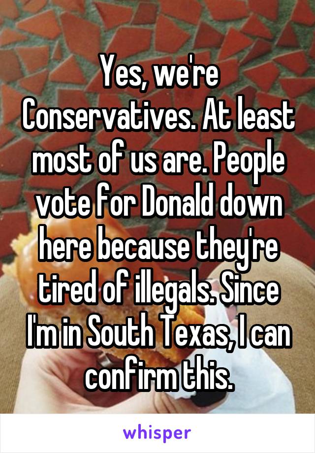 Yes, we're Conservatives. At least most of us are. People vote for Donald down here because they're tired of illegals. Since I'm in South Texas, I can confirm this.