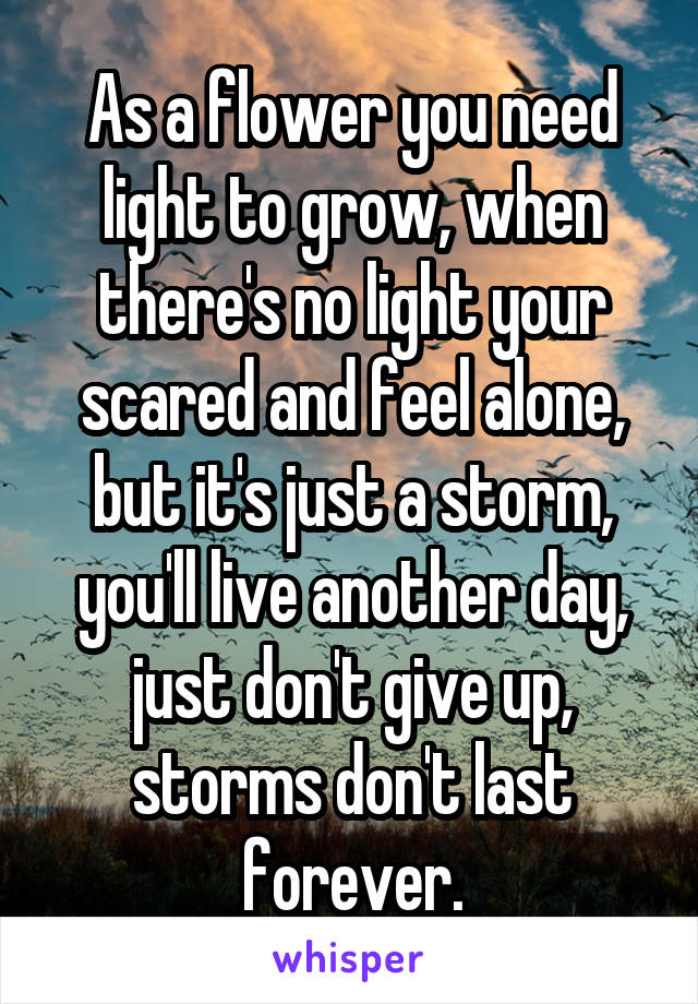 As a flower you need light to grow, when there's no light your scared and feel alone, but it's just a storm, you'll live another day, just don't give up, storms don't last forever.