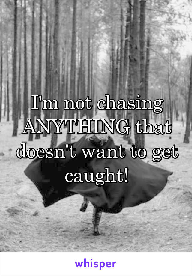 I'm not chasing ANYTHING that doesn't want to get caught!