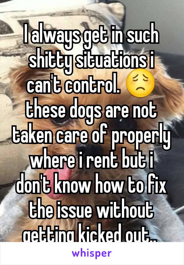 I always get in such shitty situations i can't control. ðŸ˜Ÿ these dogs are not taken care of properly where i rent but i don't know how to fix the issue without getting kicked out.. 
