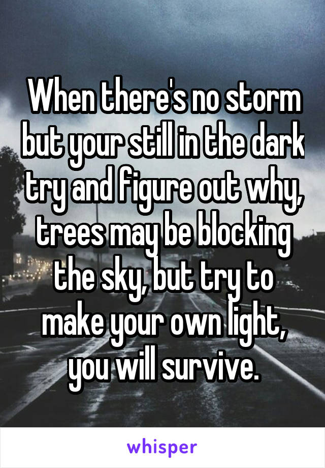 When there's no storm but your still in the dark try and figure out why, trees may be blocking the sky, but try to make your own light, you will survive.