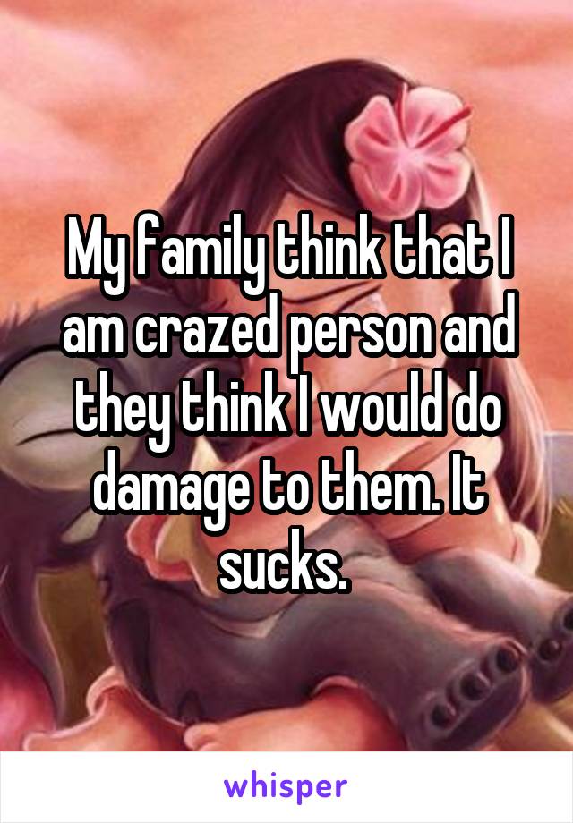 My family think that I am crazed person and they think I would do damage to them. It sucks. 