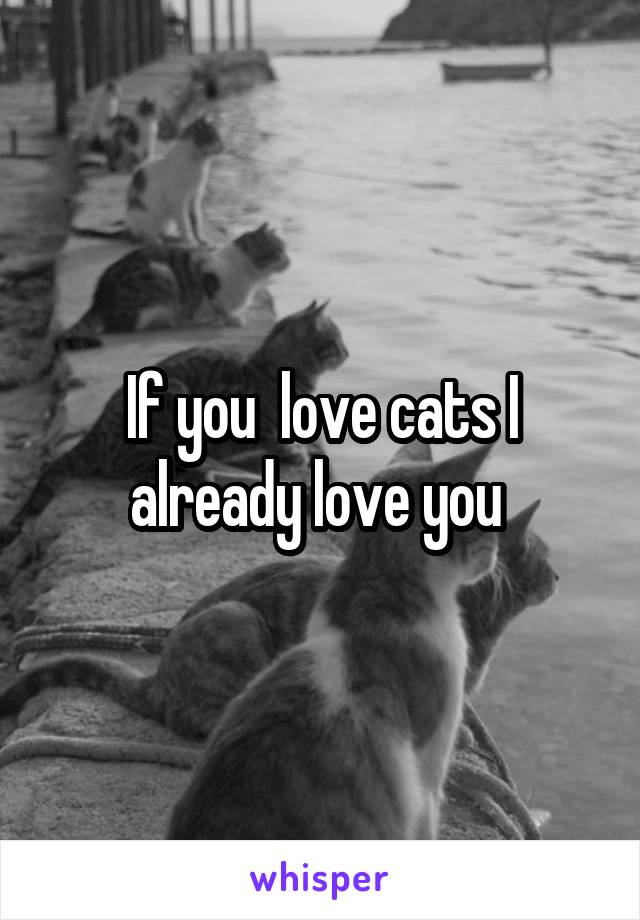 If you  love cats I already love you 