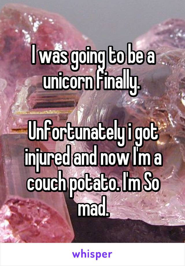 I was going to be a unicorn finally. 

Unfortunately i got injured and now I'm a couch potato. I'm So mad.