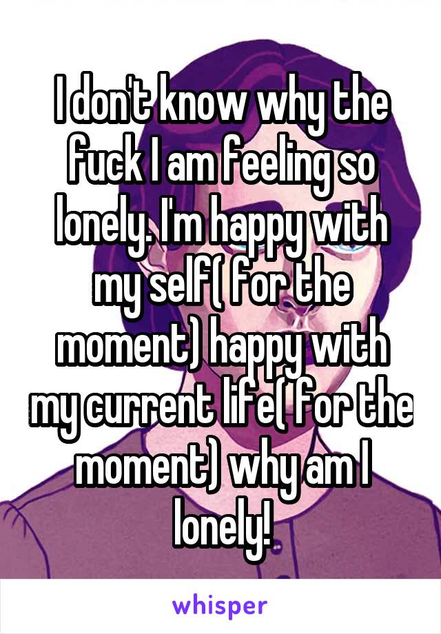 I don't know why the fuck I am feeling so lonely. I'm happy with my self( for the moment) happy with my current life( for the moment) why am I lonely!
