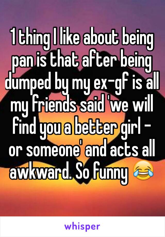1 thing I like about being pan is that after being dumped by my ex-gf is all my friends said 'we will find you a better girl - or someone' and acts all awkward. So funny ðŸ˜‚