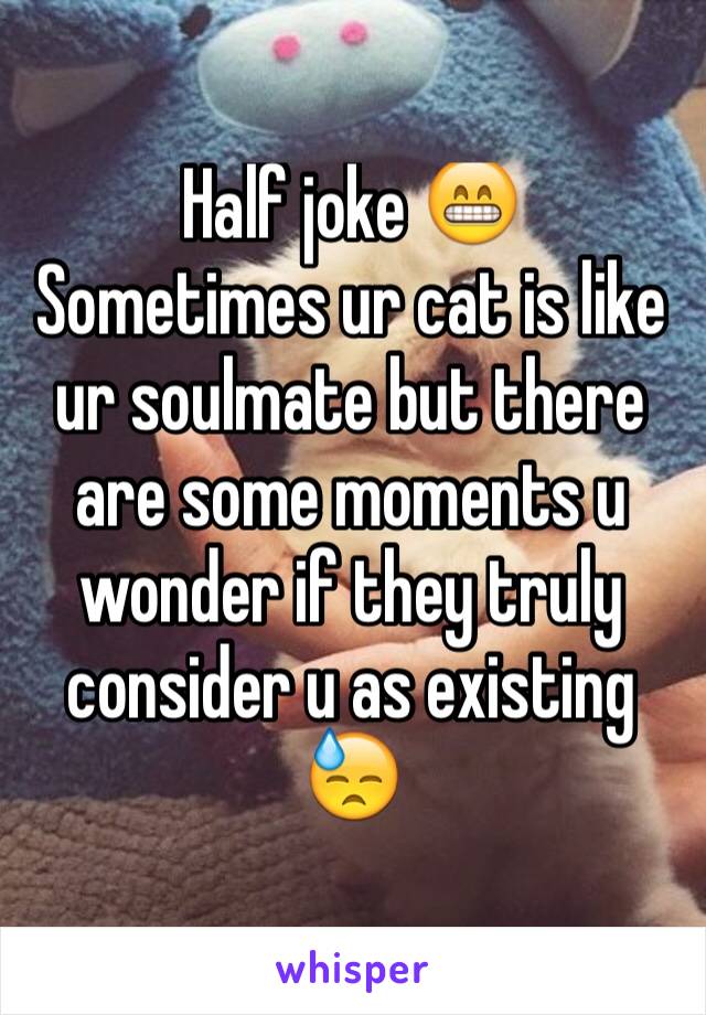 Half joke 😁
Sometimes ur cat is like ur soulmate but there are some moments u wonder if they truly consider u as existing 😓