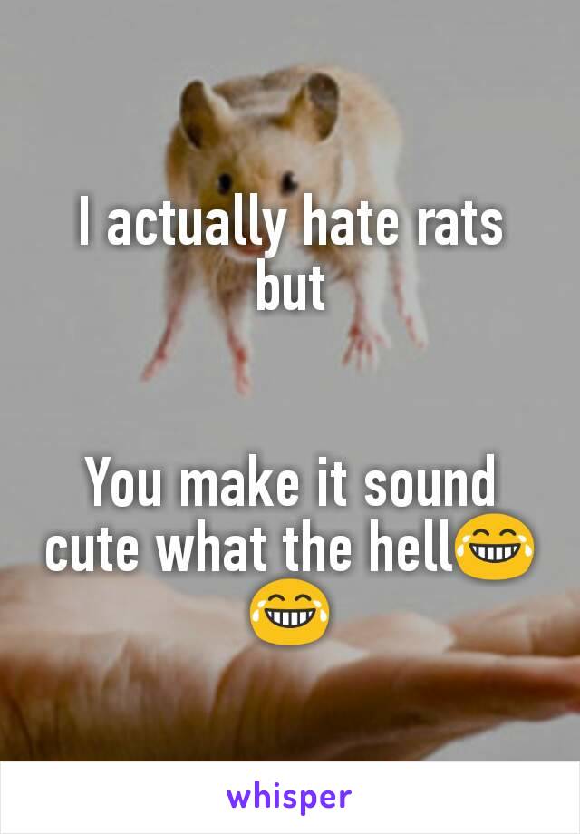 I actually hate rats but


You make it sound cute what the hell😂😂