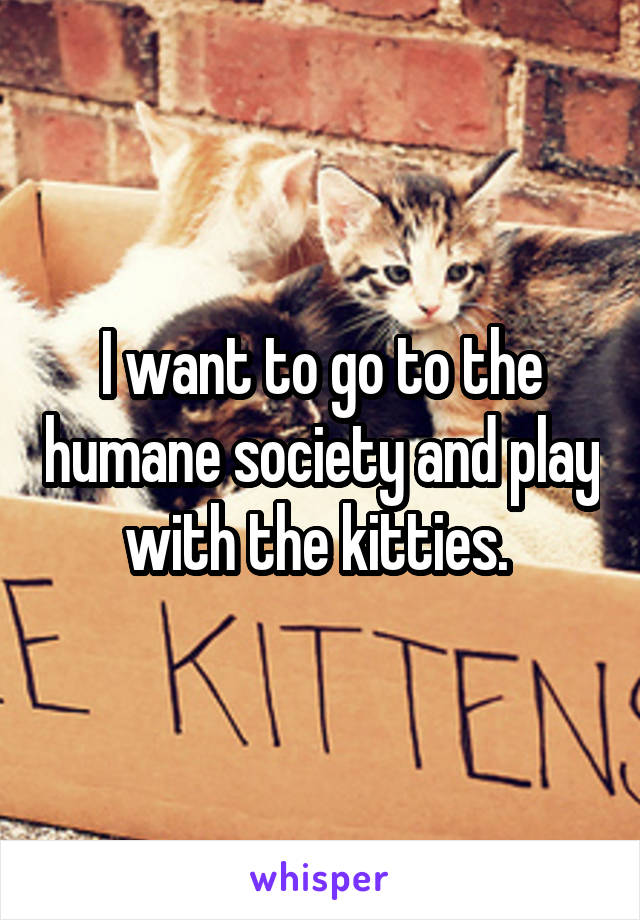 I want to go to the humane society and play with the kitties. 