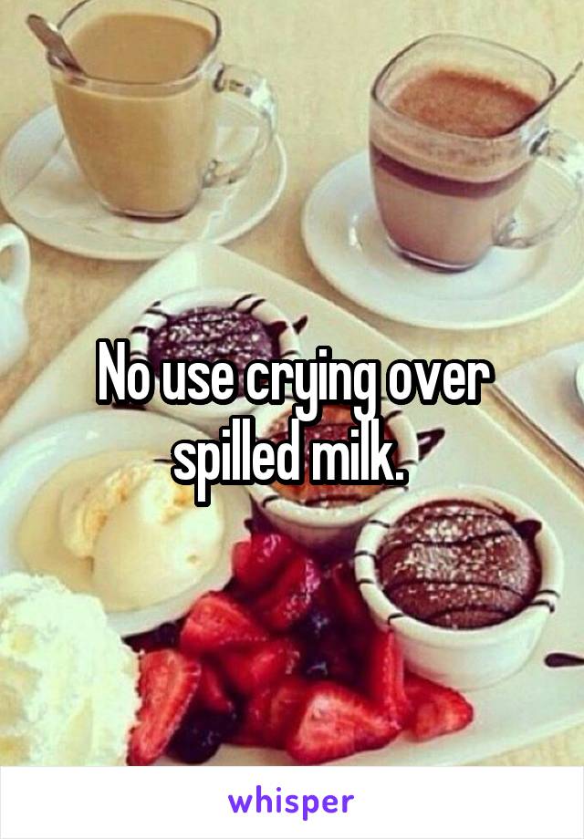 No use crying over spilled milk. 